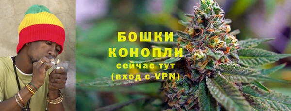 сатива Вязники