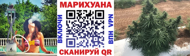 Бошки Шишки MAZAR  Луховицы 